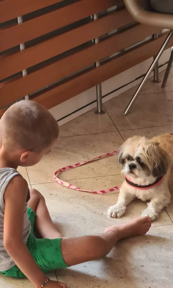 A young child sits on the floor facing a small dog on a leash.